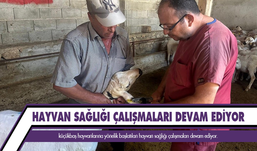 Başmakçı’da hayvan sağlığı çalışmaları devam ediyor